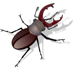 Käfer Icon